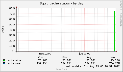 Squid cache status